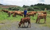 K’Sớ, celui qui insufle un nouvel air à son hameau