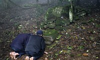 L'hommage au génie de la forêt