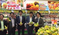 La banane vietnamienne au Japon