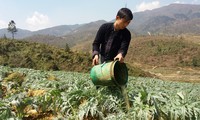 Má A Nủ, un entrepreneur Mông exemplaire