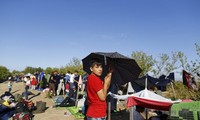 Les premiers réfugiés syriens provenant de Grèce sont attendus le 25 mai en Belgique 