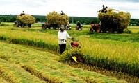 TPP : le secteur agricole face à de nombreux défis 