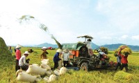 Remise des prix du concours d’écriture sur l’agriculture, les paysans et la ruralité