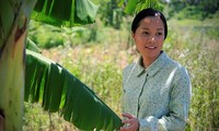 Le Vietnam au «festival des premières mondiales du cinéma-Philippines 2016»