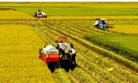 Plus d’informatique dans la production agricole du Delta du Mékong 