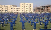 2ème Championnat de Vovinam d’Afrique: L’Algérie triomphe