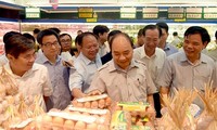 Ho Chi Minh-ville: le Premier ministre sur le front de la sécurité alimentaire