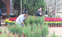 Premier festival floral bouddhique