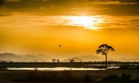 Le Vietnam vu par Réhahn Croquevielle