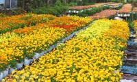 Les villages horticoles au Vietnam