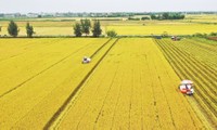 Le delta du Mékong et l’agriculture