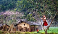 Splendeur du plateau karstique de Dông Van à Hà Giang