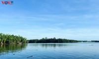 Bay Mâu - un “petit delta du Mékong” au cœur de Hôi An