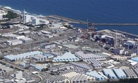 No tritium found near Fukushima plant after radioactive water discharge