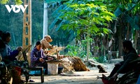 The meticulous art of making Nung An people’s ‘chup xa’ conical hats