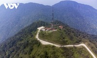 Flowers bloom on the summit of Phia Oac