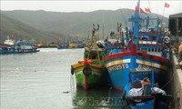 Binh Dinh province clamps down on IUU fishing