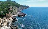 Vietnam to establish, manage 27 maritime protected areas by 2030