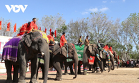 Buon Don Elephant Festival 2025 kicks off 