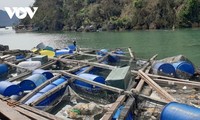 Quang Ninh adopts aquaculture best practices to adapt to climate change