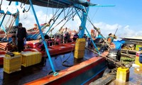 Dong Thap intensifies IUU fishing prevention, ready for EC inspection