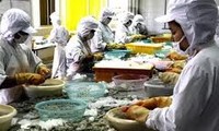 Vietnam dan AS mulai melakukan konsultasi ke-2 tentang  guguatan udang Vietnam. 