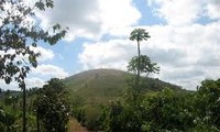 Upacara berdoa arwah pahlawan yang gugur diadakan di bukit Doc Lap