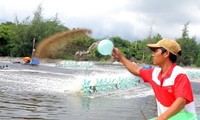 India ingin belajar pengalaman tentang budidaya  perikanan Vietnam.