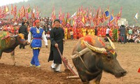 Pesta adat Membajak Sawah- Merangsang perkembangan pertanian