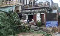 Vietnam Tengah berfokus mengatasi akibat taupan Nari, angin berpusar, bencana hujan dan banjir