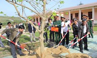 Menanam pohon pada awal musim semi di pulau Ly Son, provinsi Quang Ngai