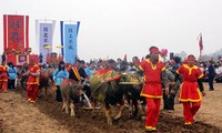 Pesta Membajak Sawah Doi Son - tahun 2014