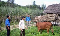 Daerah dataran rendah sungai Mekong berusaha mengurangi lebih dari 44.000 kepala keluarga miskin