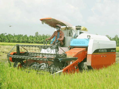 Pola  “sawah konektivitas” di provinsi Dong Thap turut membangun pedesaan baru