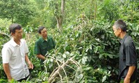 Veteran perang Nguyen Hung Cuong-Gagah berani dalam pertempuran-berani dalam produksi