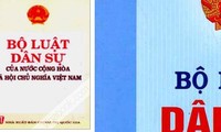 Komisi Perundang-undangan memberikan pendapat terhadap RUU Perdata (amandemen)