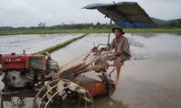 Menyatukan sawah-sawah dan memperkuat mekanisasi dalam produksi pertanian di provinsi Bac Ninh