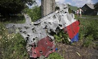 MH-17 ditembak oleh peluru senapan