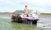 Mekanisasi turut meningkatkan produktivitas kerja dalam produksi pertanian