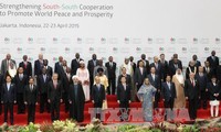 Vietnam adalah mitra tepercaya dari komunitas negara-negara Asia-Afrika