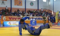 Kejuaraan Vovinam Eropa ke-4 di Swiss