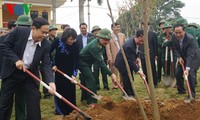 Wakil Presiden Dang Thi Ngoc Thinh mencanangkan pesta penghijauan di provinsi Hoa Binh