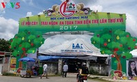 Banyak produk khas pada Festival Pohon dan Buah-Buahan yang enak dan aman Ben Tre 2017