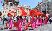 Vietnam menghadiri Festival Kebudayaan Etnis-Etnis Minoritas seluruh Czech tahun 2017