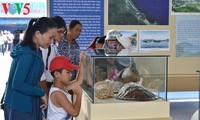 Pameran Hoang Sa, Truong Sa wilayah Vietnam-Bukti-bukti sejarah dan hukum di provinsi Quang Binh