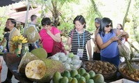 Pekan Ketahanan Pangan dan Dialog kebijakan tingkat tinggi dalam rangka Tahun APEC 2017 di Kota Can Tho