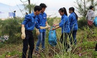 Kira-kira 500 anggota Liga Pemuda dan pemuda ikut serta dalam Kampanye Laut Biru Vietnam