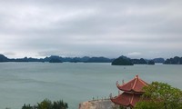 Rapat umum menyambut Hari Lingkungan Hidup Dunia dan Pekan Laut dan Pulau Viet Nam 2018