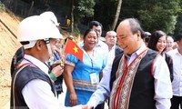 PM Nguyen Xuan Phuc: Ginseng Ngoc Linh merupakan pusaka nasional Viet Nam