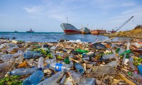 Kalau tidak bertindak semua samudera akan mengandung lebih banyak sampah limbah terbanding dengan berbagai jenis ikan